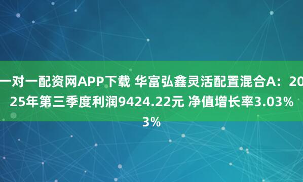 一对一配资网APP下载 华富弘鑫灵活配置混合A：2025年第三季度利润9424.22元 净值增长率3.03%
