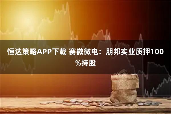 恒达策略APP下载 赛微微电：朋邦实业质押100%持股