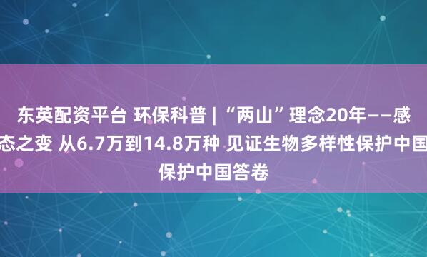 东英配资平台 环保科普 | “两山”理念20年——感知生态之变 从6.7万到14.8万种 见证生物多样性保护中国答卷